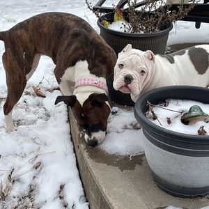 Meet your Posher, Joel